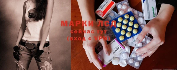 PSILOCYBIN Надым