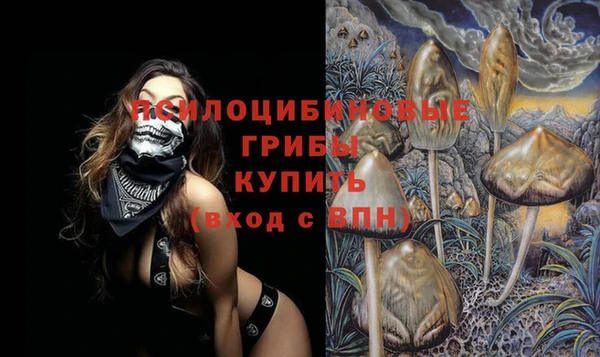 a pvp Абаза