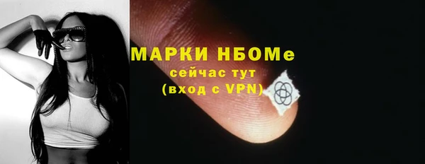 сатива Михайловка