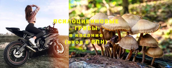 PSILOCYBIN Надым