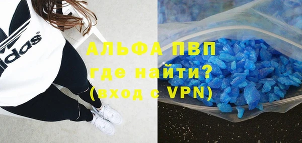 PSILOCYBIN Надым
