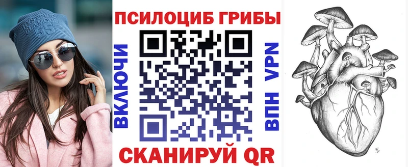 Галлюциногенные грибы Magic Shrooms  сколько стоит  гидра онион  Алагир 